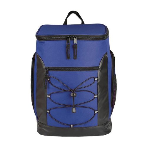 Backpack Cooler Thermo Bag Lunch Bento Ice Pack Outdoor Picnic Backpack Cooler Thermo Bag Lunch Bento Ice Pack Outdoor Picnic